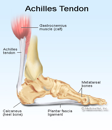 knee pain and achilles tendon